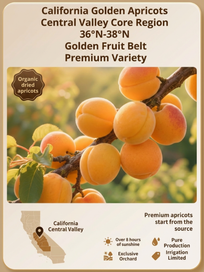 Seedless golden apricots from California's Central Valley are a pure, natural, healthy, and organic food, rich in nutrients and offering 13 major health benefits. The flesh is thick and has a sweet and sour taste.