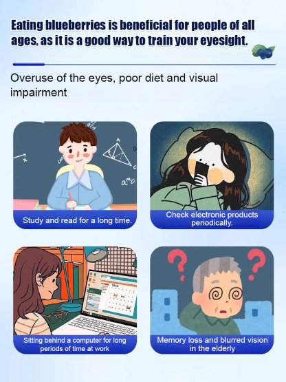 👁️Lowers blood lipids and protects the eyes. High-quality dried blueberries from Nagano Prefecture.