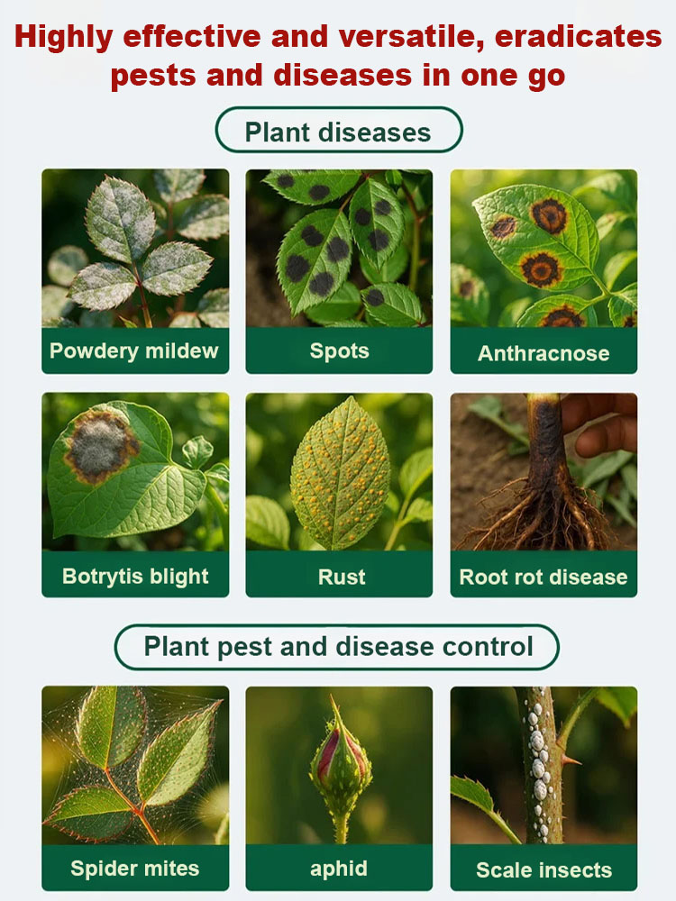 OMRI-certified 3-in-1 Dormant Spray: Instantly kills pests, diseases, and fungi.🍎