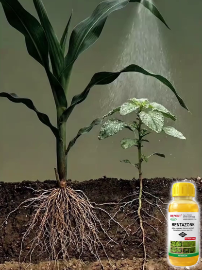 🔥 Weeds Never Grow Again! One spray kills them from the root, no weeds for 3 years!  🔬 【International Top Agricultural and Forestry Technology Laboratory】5 Years of Core R&D