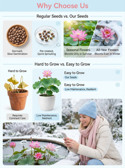 Botanist Recommended❗️No soil or fertilizer needed, just watering is all it takes for it to thrive; even beginners can grow six-colored lotus flowers🌸