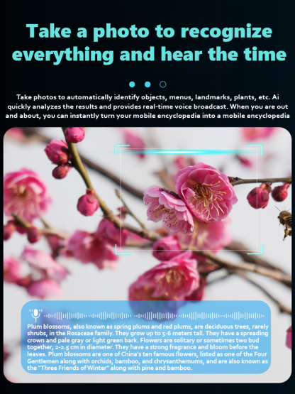 🤩These AI smart glasses with a camera offer a 14-day free trial with a full refund if unsatisfactory. 🌸They also come with a 30-year warranty.