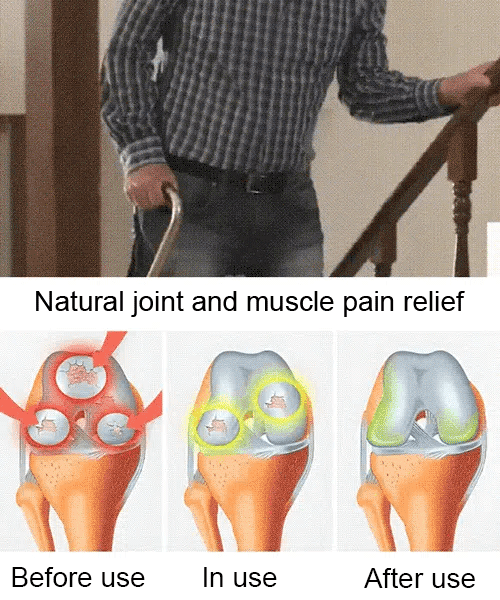 【No fruit, full refund】Yale University, in collaboration with the USA, has developed the latest cherry saplings ❤ No need for pollination / shipped with soil and branches / bear fruit in the next month