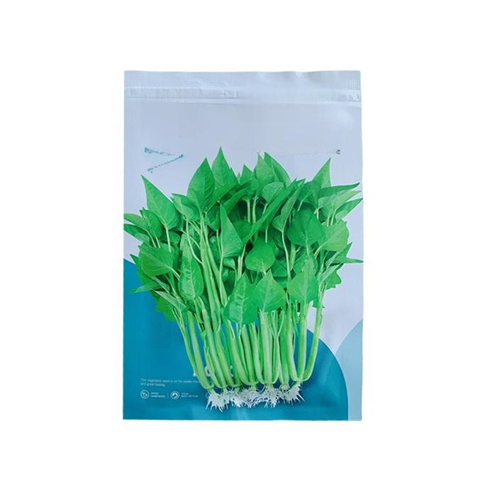 ผักที่ปลูกในกระถางได้ทั้งสี่ฤดูกาล เมล็ดพันธุ์ผักบุ้งสามง่าม