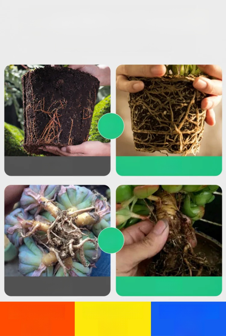 (ฮิตทั่วเน็ต) เร่งดอกเร่งผล - สารปรับปรุงดิน