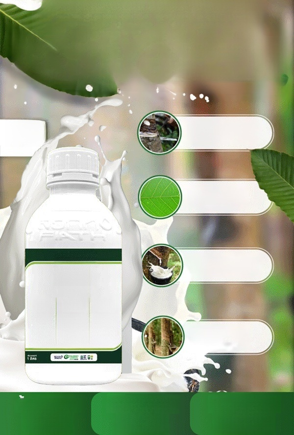 【ยางพาราคุณภาพสูงและผลผลิตสูง】ปุ๋ยอินทรีย์เหลวสีเขียว