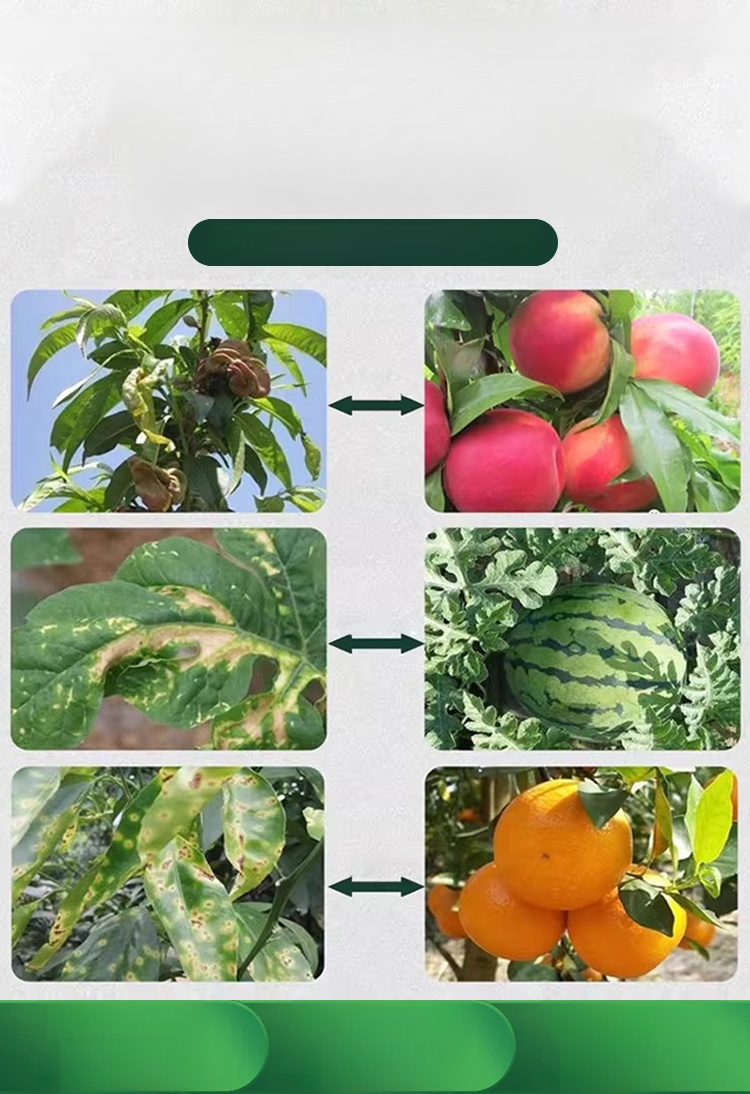 【สำหรับพืชผลทั้งหมด】ยาคาร่า วัคซีนพืช