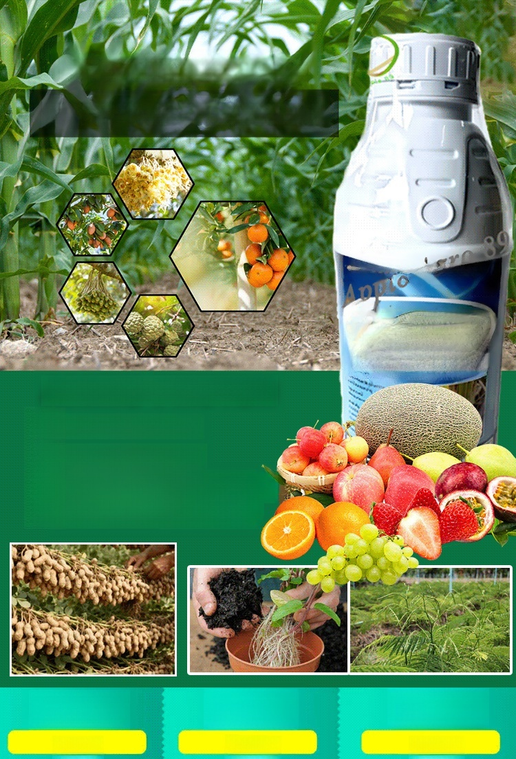 ปุ๋ยน้ำเร่งราก สารอาหารพืชแบบใช้ทั่วไป