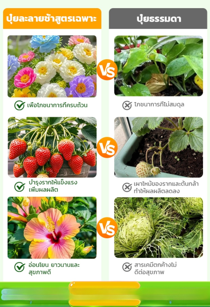 [ดอกตูมเต็มกิ่ง] ปุ๋ยสำหรับดอกไม้