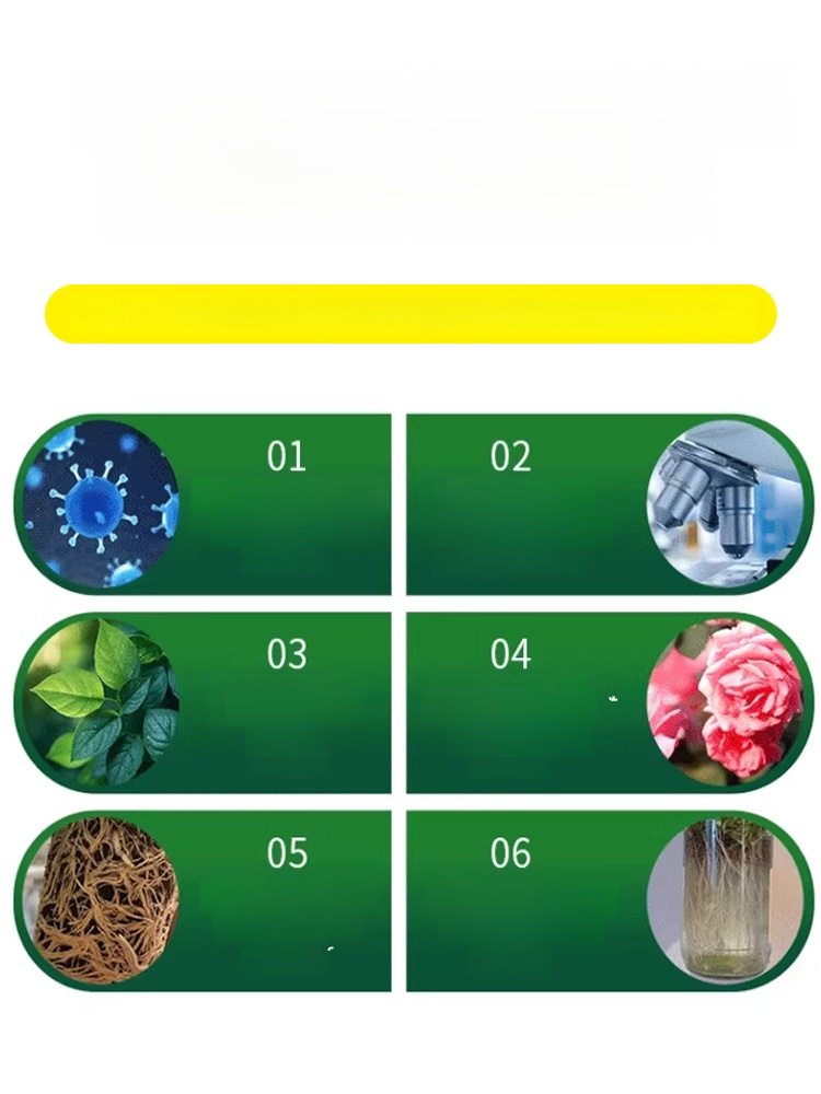 【บำรุงรากและเสริมสร้างต้นกล้า】ปุ๋ยอเนกประสงค์สำหรับพืชสวน