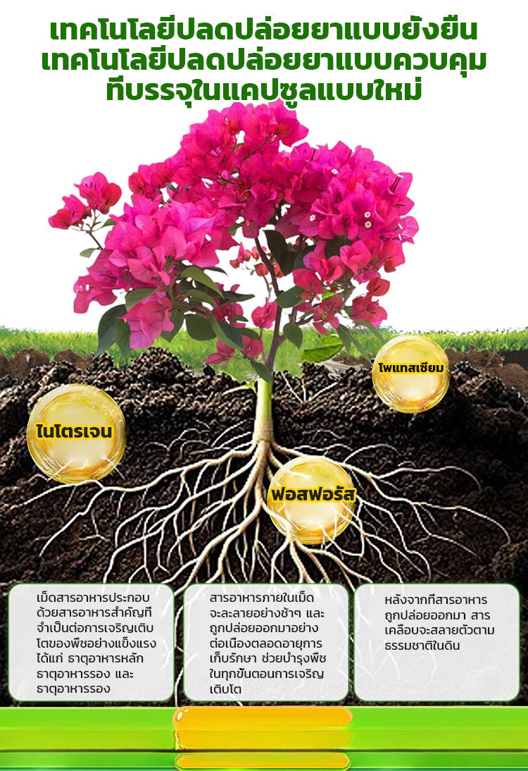 [ดอกตูมเต็มกิ่ง] ปุ๋ยสำหรับดอกไม้