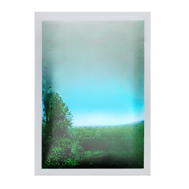 สารกำจัดวัชพืชเฮกซาซิโนน