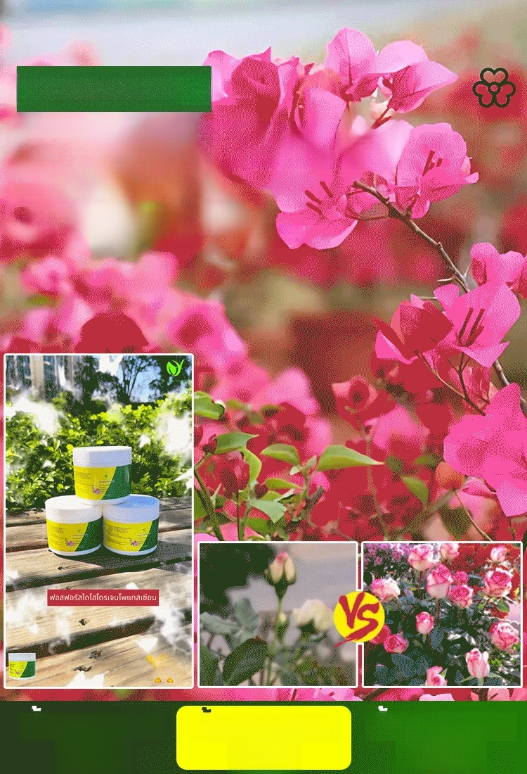 ปุ๋ยโพแทสเซียมไดไฮโดรเจนฟอสเฟตสำหรับพ่นทางใบ