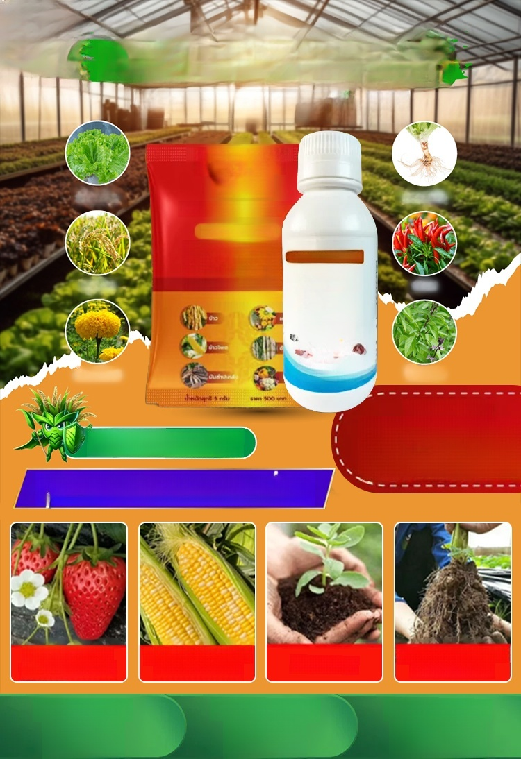 【สำหรับพืชผลทั้งหมด】ยาคาร่า วัคซีนพืช