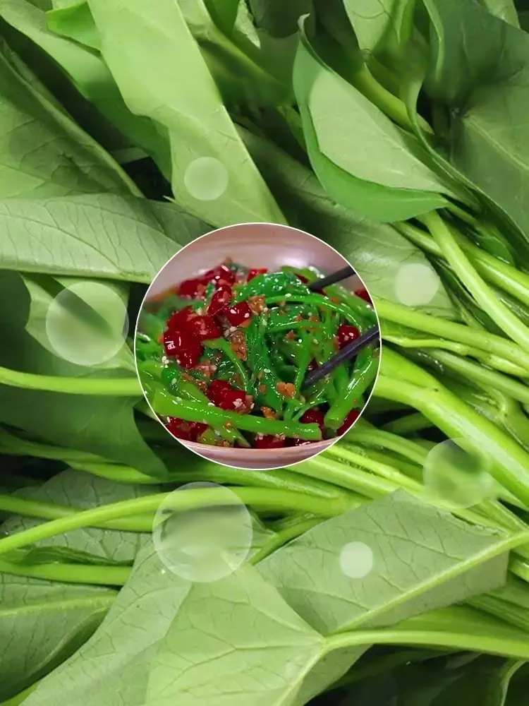 ผักที่ปลูกในกระถางได้ทั้งสี่ฤดูกาล เมล็ดพันธุ์ผักบุ้งสามง่าม