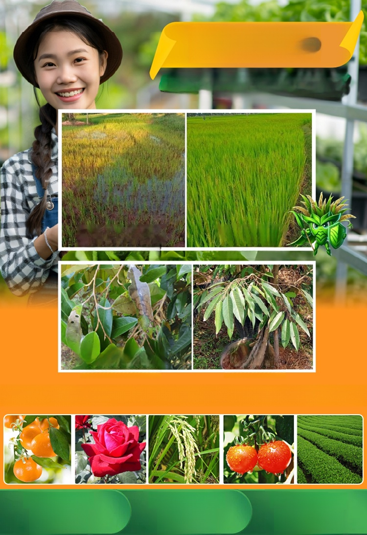 【สำหรับพืชผลทั้งหมด】ยาคาร่า วัคซีนพืช