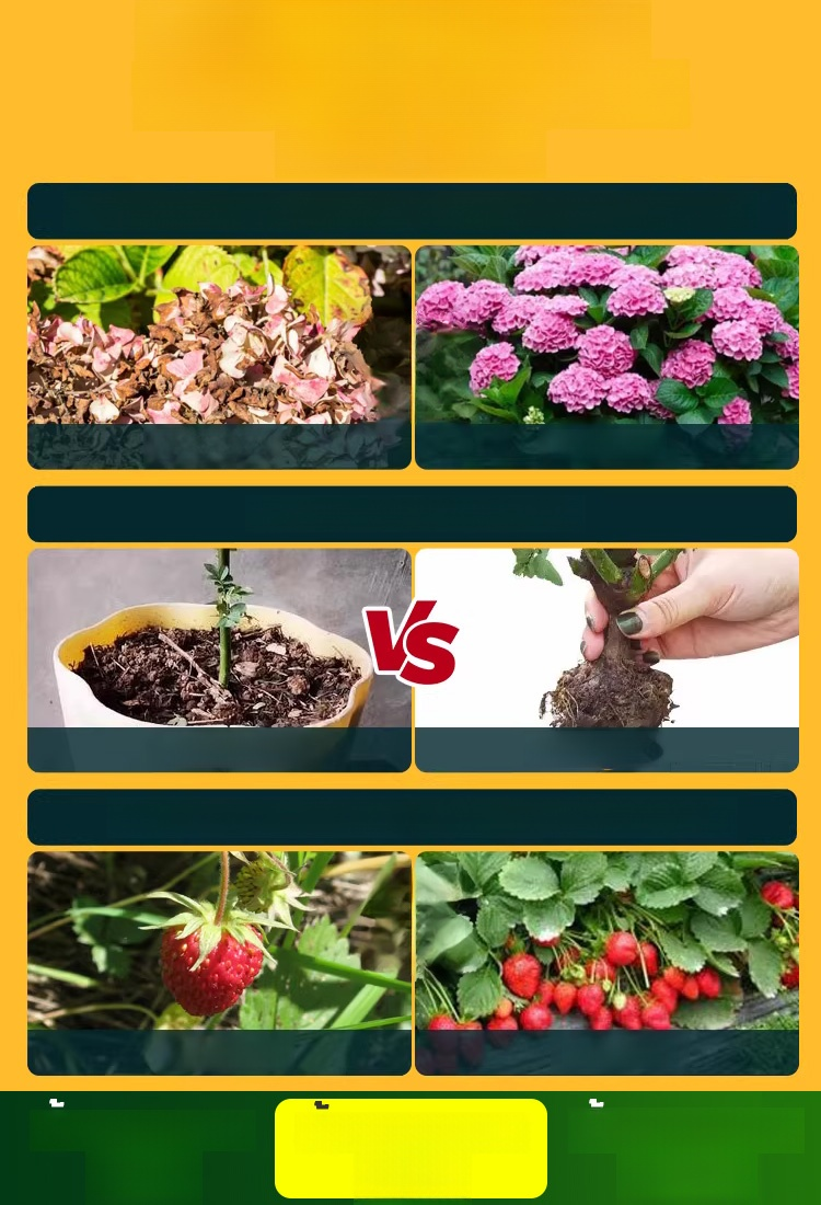 ปุ๋ยโพแทสเซียมไดไฮโดรเจนฟอสเฟตสำหรับพ่นทางใบ