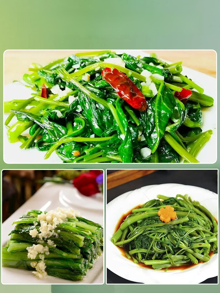 ผักที่ปลูกในกระถางได้ทั้งสี่ฤดูกาล เมล็ดพันธุ์ผักบุ้งสามง่าม