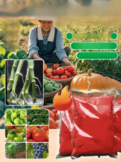 【เซลล์รีเจเนอเรเตอร์】ปุ๋ยสำหรับการเจริญเติบโตของพืช