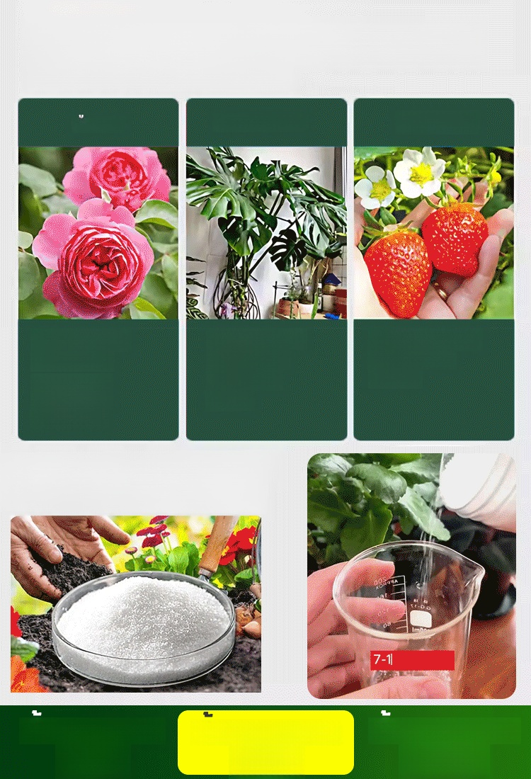 ปุ๋ยโพแทสเซียมไดไฮโดรเจนฟอสเฟตสำหรับพ่นทางใบ