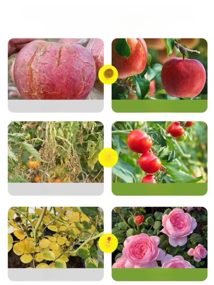 ปุ๋ยเสริมแมกนีเซียมสำหรับการเจริญเติบโตของใบไม้สีเขียวของต้นไม้ผล