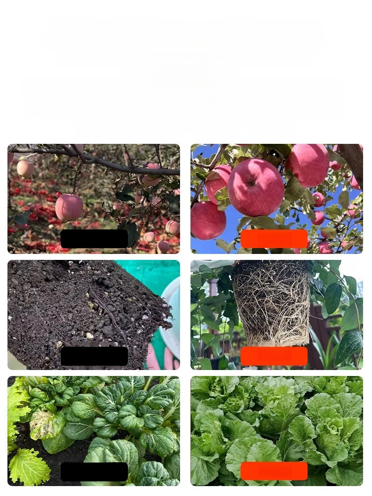 【บอกลาปัญหาดินแข็งตัว】สารบำรุงและฟื้นฟูดิน