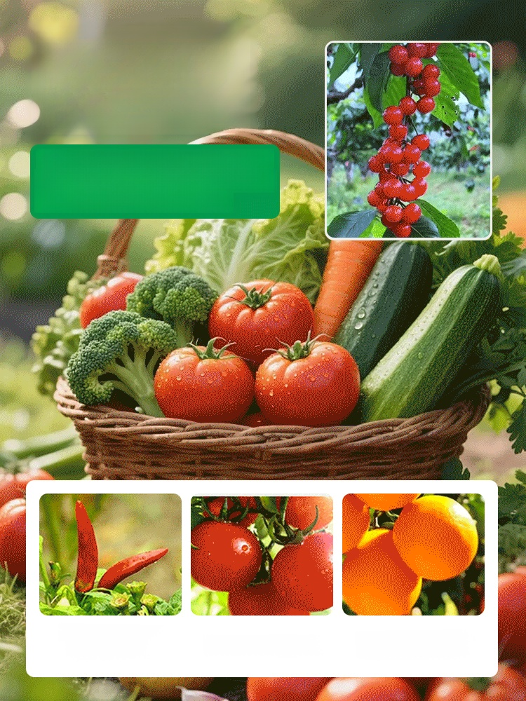 【เซลล์รีเจเนอเรเตอร์】ปุ๋ยสำหรับการเจริญเติบโตของพืช