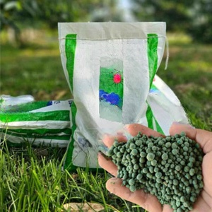 【ส่งเสริมรากให้แข็งแรง เร่งการเจริญเติบโต】ปุ๋ยรักษาโรครากเน่า