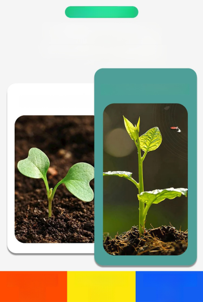 (ฮิตทั่วเน็ต) เร่งดอกเร่งผล - สารปรับปรุงดิน