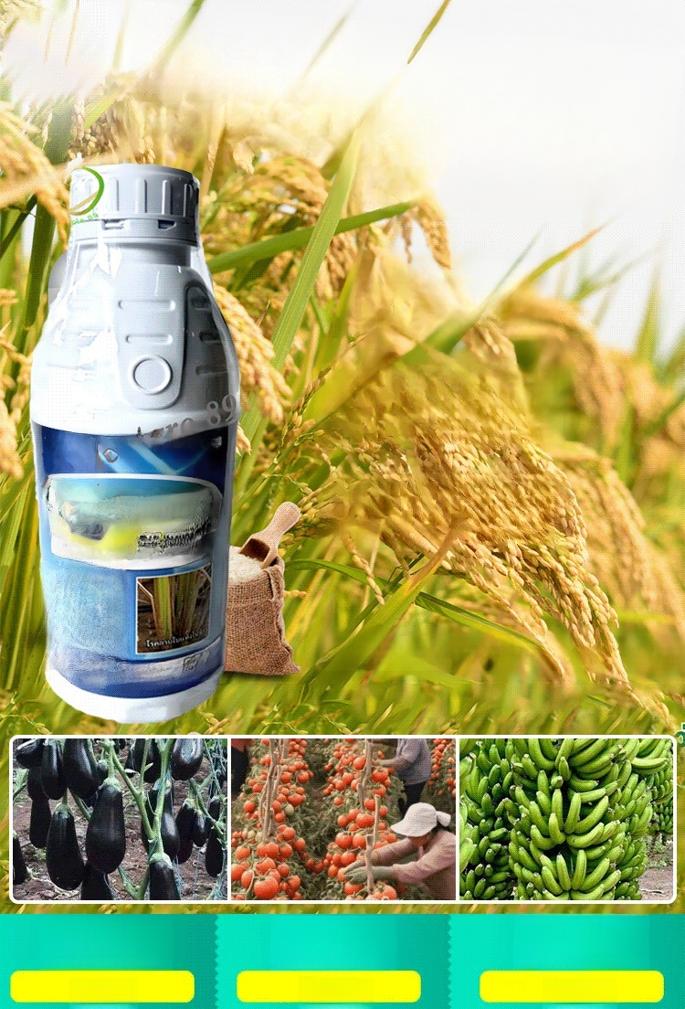 ปุ๋ยน้ำเร่งราก สารอาหารพืชแบบใช้ทั่วไป