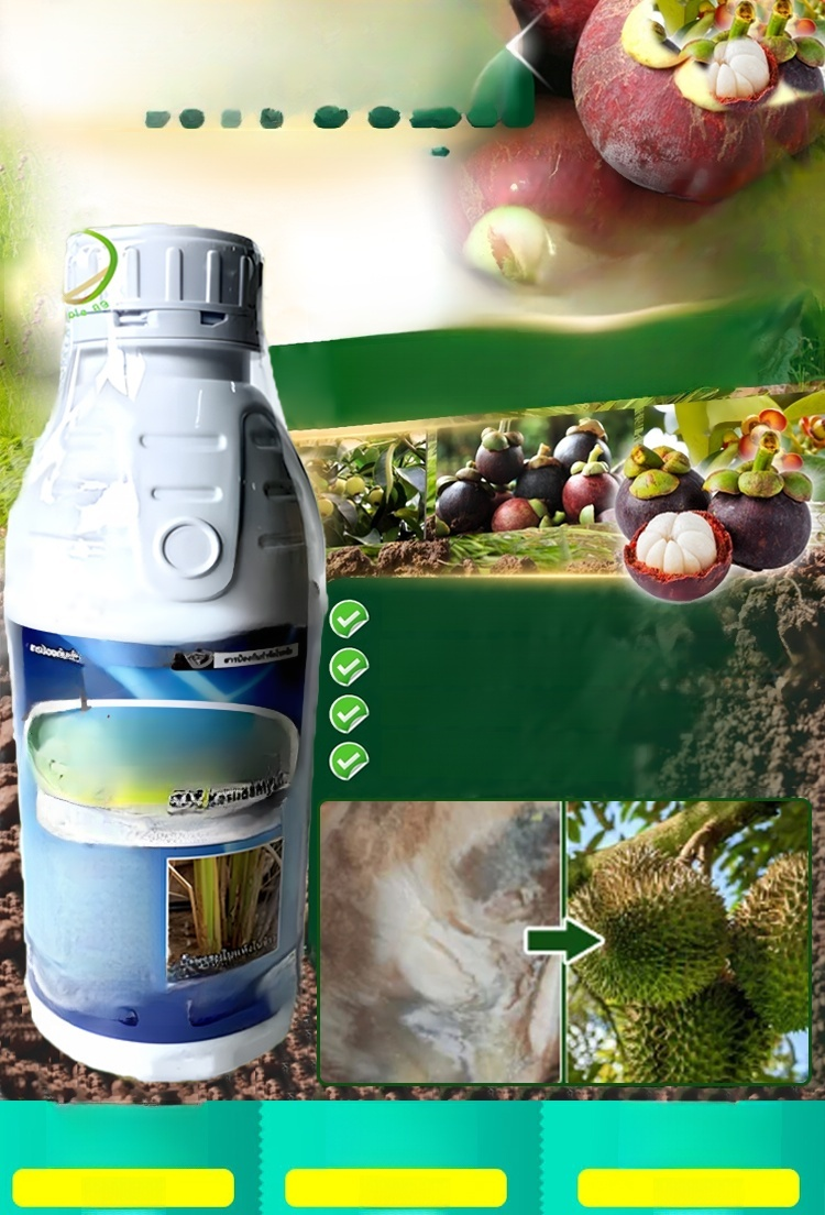 ปุ๋ยน้ำเร่งราก สารอาหารพืชแบบใช้ทั่วไป