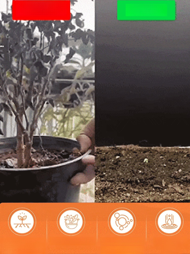 ปุ๋ยเสริมแมกนีเซียมสำหรับการเจริญเติบโตของใบไม้สีเขียวของต้นไม้ผล