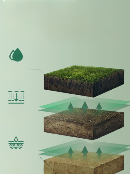 ปุ๋ยเสริมแมกนีเซียมสำหรับการเจริญเติบโตของใบไม้สีเขียวของต้นไม้ผล