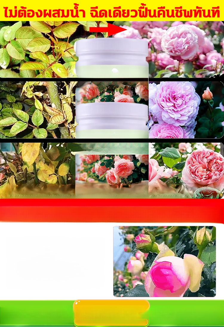 [ดอกตูมเต็มกิ่ง] ปุ๋ยสำหรับดอกไม้