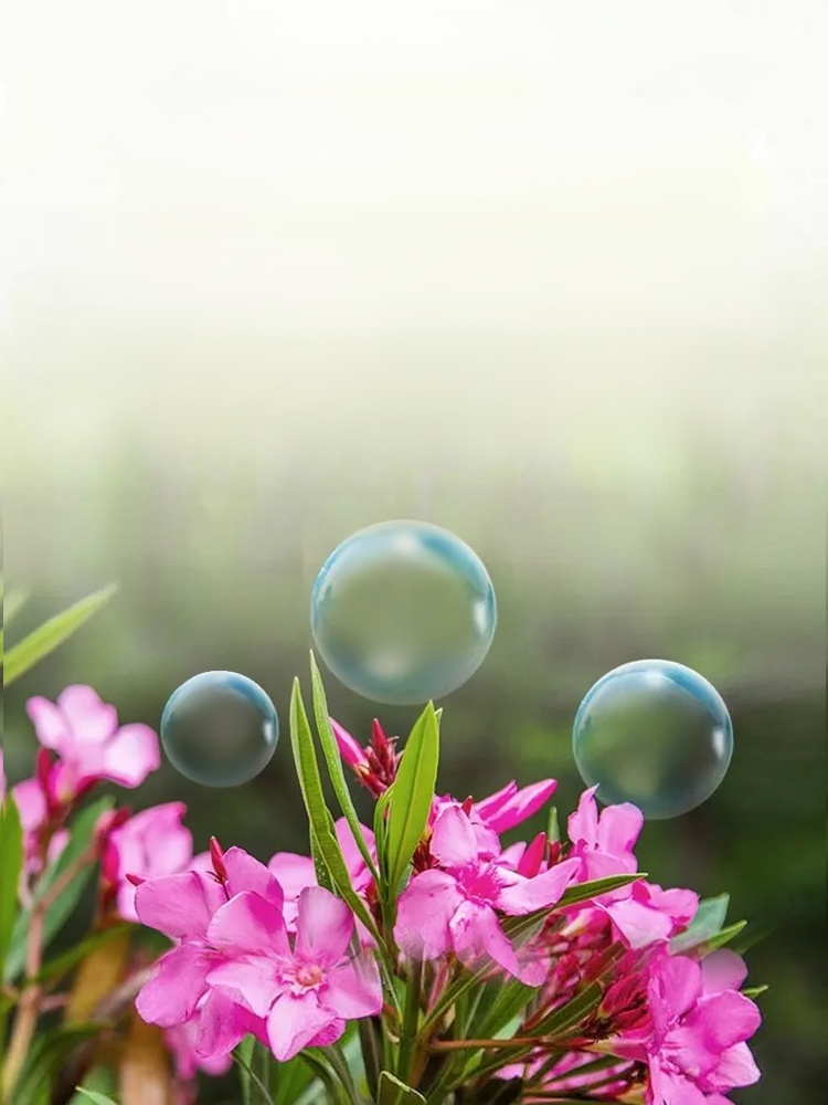 【บำรุงรากและเสริมสร้างต้นกล้า】ปุ๋ยอเนกประสงค์สำหรับพืชสวน