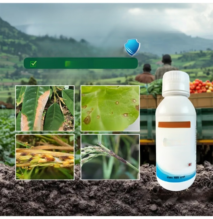 HFH-【全农作物通用】增量生长营养调节剂_10.jpg