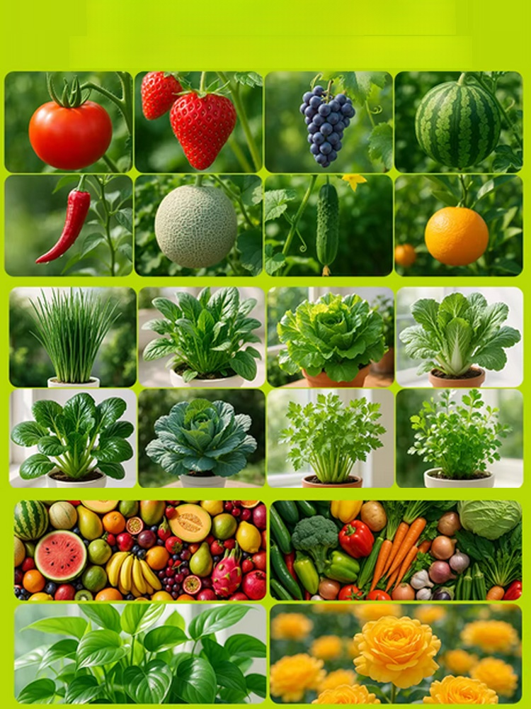 【ส่งเสริมรากให้แข็งแรง เร่งการเจริญเติบโต】ปุ๋ยรักษาโรครากเน่า