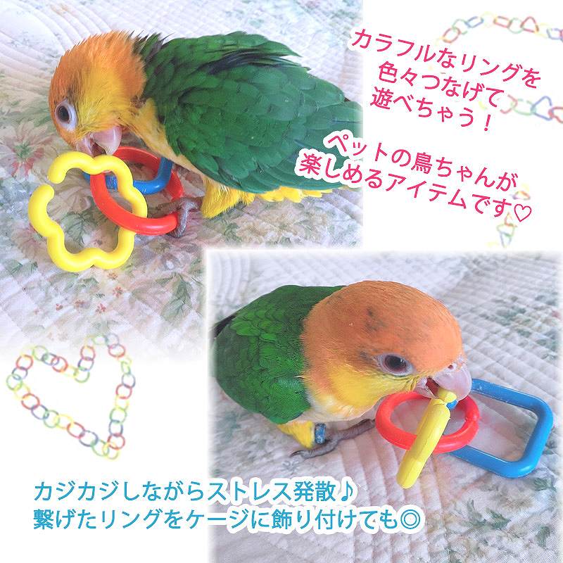 fuu 鳥のおもちゃ カラフルプラりんぐ 8個入り
