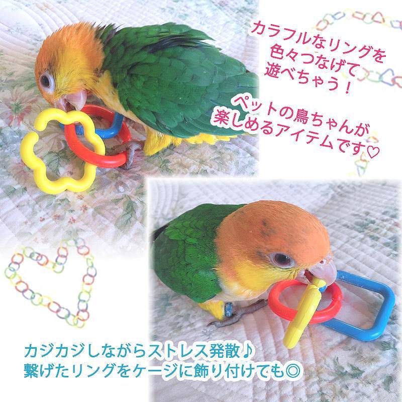 fuu 鳥のおもちゃ カラフルプラりんぐ 8個入り