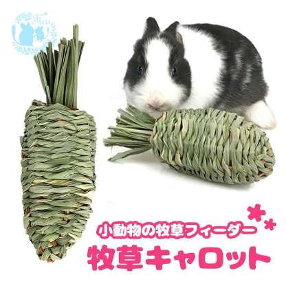 fuu 小動物の牧草フィーダー 牧草キャロット