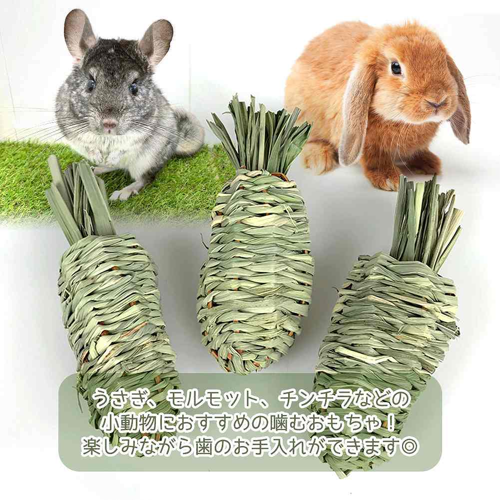 fuu 小動物の牧草フィーダー 牧草キャロット