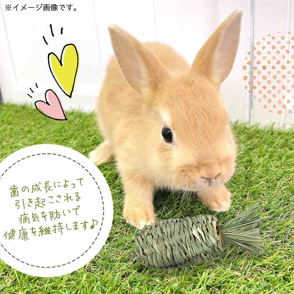 fuu 小動物の牧草フィーダー 牧草キャロット