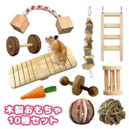 fuu 木製おもちゃ10種セット