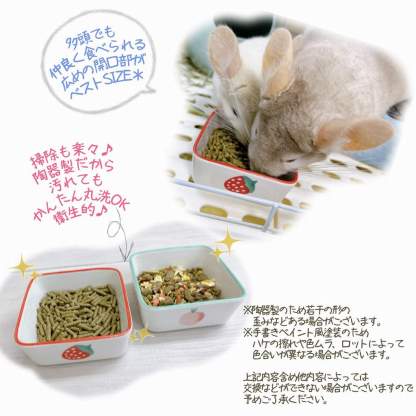 fuu 鳥・小動物の陶器の四角いエサ入れ フルーツ柄