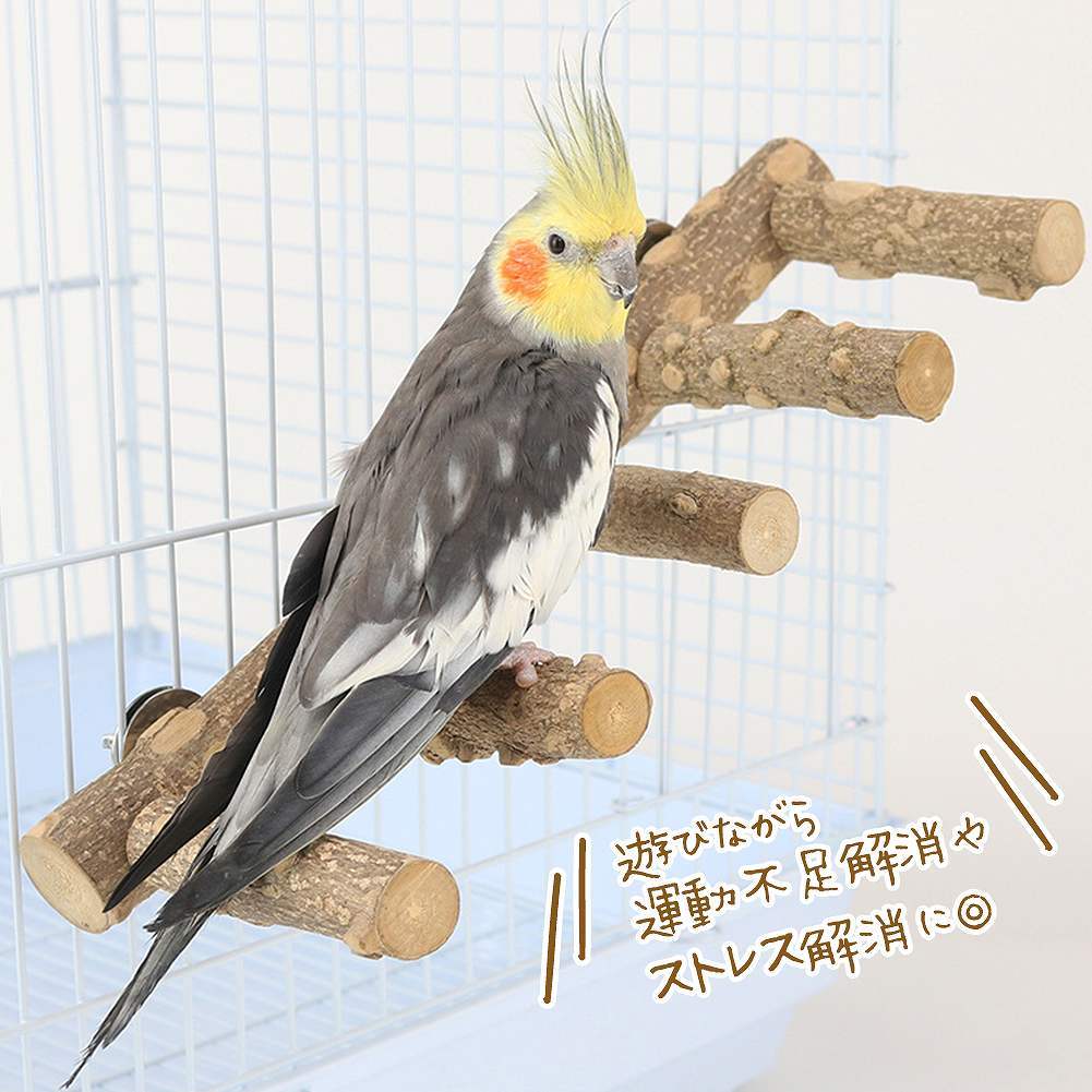 fuu 鳥・小動物用 ナチュラルウッド５連パーチ