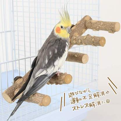 fuu 鳥・小動物用 ナチュラルウッド５連パーチ