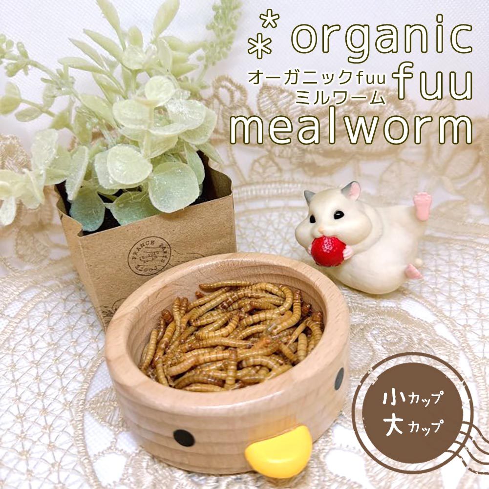 fuu うまうまセレクション オーガニックfuuミルワーム