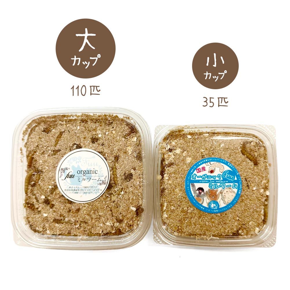 fuu うまうまセレクション オーガニックfuuミルワーム 小カップ 35匹入り