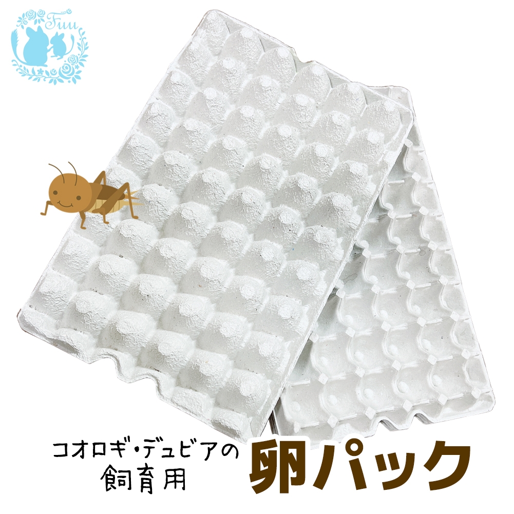 fuu コオロギ・デュビアの飼育用 卵パック 約45×29×5cm