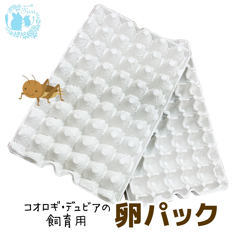 fuu コオロギ・デュビアの飼育用 卵パック 約45×29×5cm